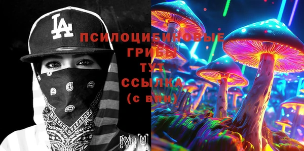 mix Абаза