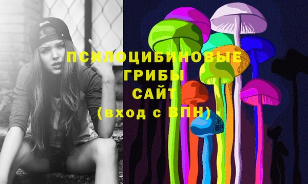 ПСИЛОЦИБИНОВЫЕ ГРИБЫ Абинск