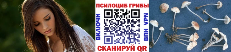 Галлюциногенные грибы Magic Shrooms  Тында 