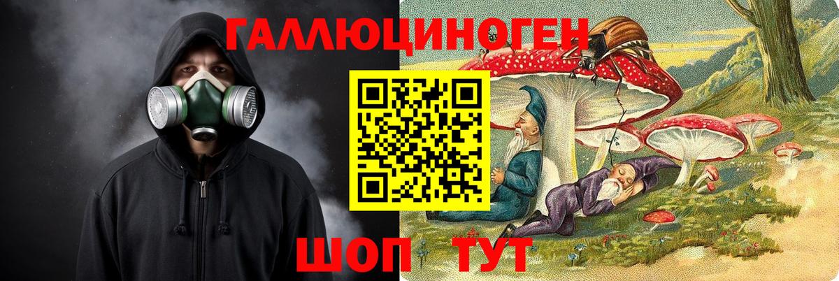 Галлюциногенные грибы Cubensis  Вход с VPN  Тында 