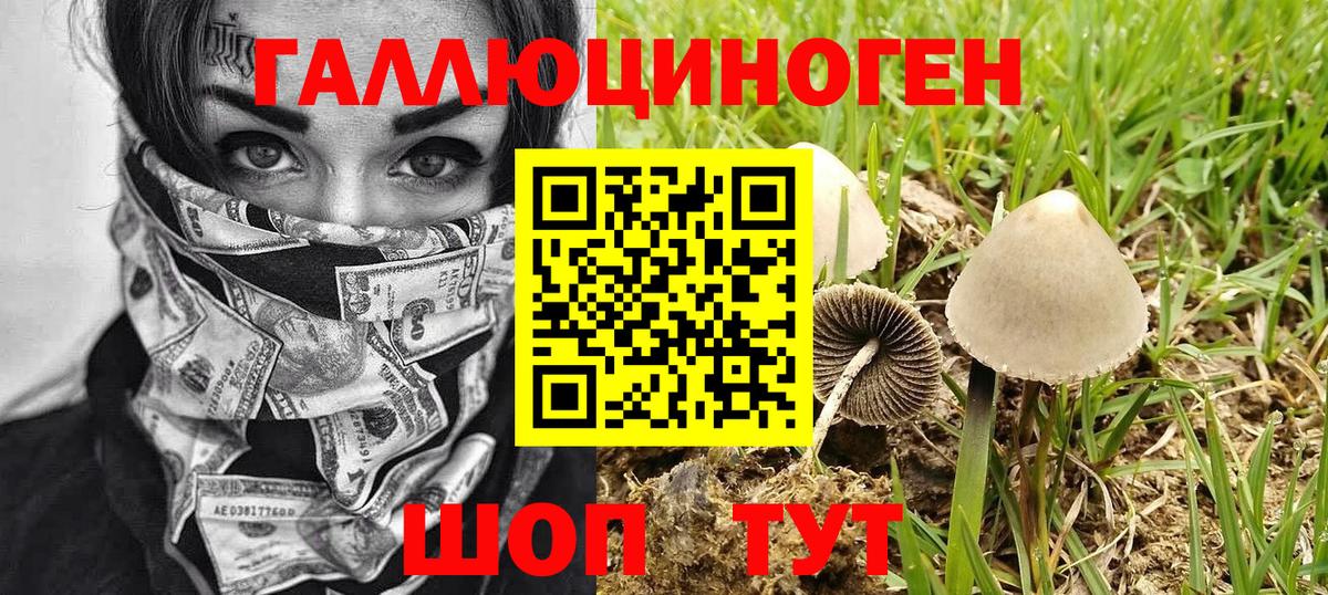 Псилоцибиновые грибы мицелий Тында