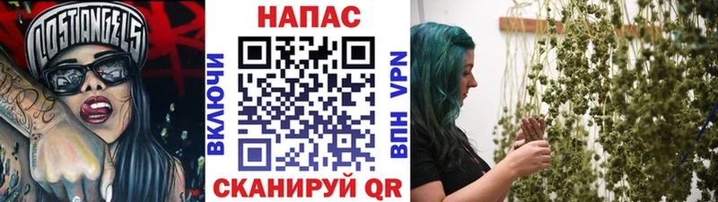 Канабис ГИДРОПОН где найти Тында